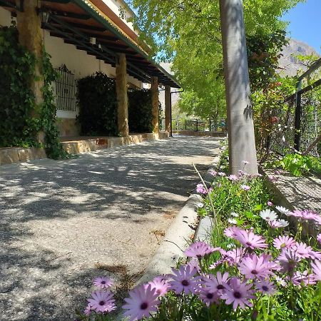 Cortijo El Cercadillo Guest House Bedmar y Garciez Exterior photo