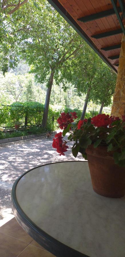 Cortijo El Cercadillo Guest House Bedmar y Garciez Exterior photo
